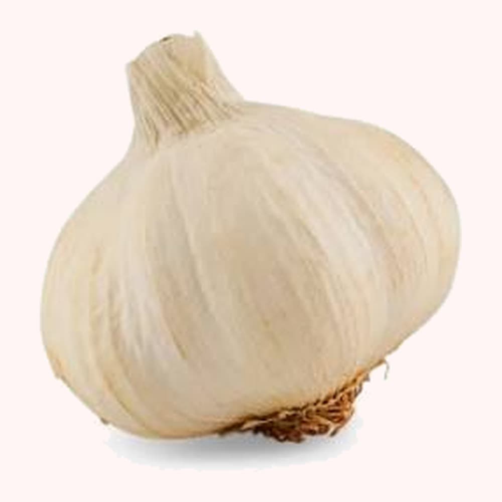 Ail Blanc Local (white garlic)